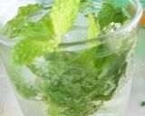 Foto langkah ke 2 dari resep MINT ICE SODA.