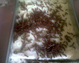 Foto langkah ke 1 dari resep Choco Bread Puding.