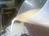 Choco Bread Puding