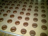 Coco Crunch Chocolate Butter Cookies