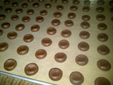 Coco Crunch Chocolate Butter Cookies