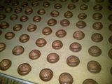 Coco Crunch Chocolate Butter Cookies