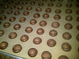 Coco Crunch Chocolate Butter Cookies