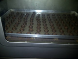 Coco Crunch Chocolate Butter Cookies