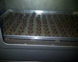 Foto langkah ke 8 dari resep Coco Crunch Chocolate Butter Cookies.