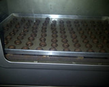 Foto langkah ke 8 dari resep Coco Crunch Chocolate Butter Cookies.