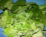 Foto langkah ke 1 dari resep TUMIS DAUN LABU (untuk diet hepatitis).