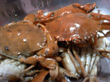 Mie Kepiting