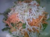 Bakwan sayur teri
