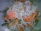 Bakwan sayur teri