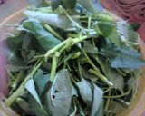 Foto langkah ke 2 dari resep Kangkung Genjer Perpaduan Pedas.