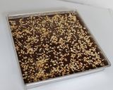 Foto langkah ke 6 dari resep Brownies Ala Rahma OveKitch.