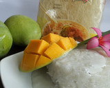 Foto langkah ke 11 dari resep Bihun Kukus Mangga Saus Santan.