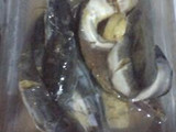 Lele Balado