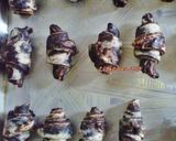 Foto langkah ke 11 dari resep Chocolate Wassants.