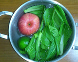 Foto langkah ke 1 dari resep Jus Pakchoy dan Apel.