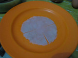 Dadar Mawar Cokelat Kelapa