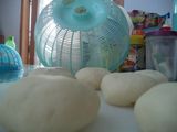 Bapao Ayam Mini