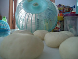 Bapao Ayam Mini