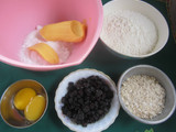 Biskuit Havermut