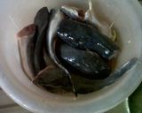 Foto langkah ke 1 dari resep Lele Lado Mudo.