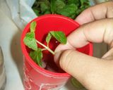 Foto langkah ke 4 dari resep Mojito limho ice tea.