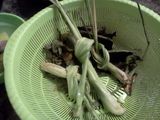 Soto Padang ala Tulang Luppi