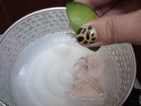 Chicken Lemon Soy Sauce Soup