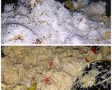 Foto langkah ke 4 dari resep SERUNDENG AYAM PEDAS.