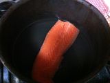 Abon Salmon
