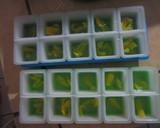 Foto langkah ke 3 dari resep Jackfruit Melon Jelly Powder.