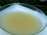 Kaldu Ayam versi Kontinental