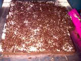 brownies mini ekonomis