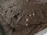 Crazy Wacky Choco Cake