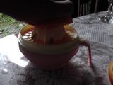 fantastic orange with melon jelly