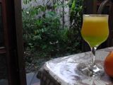 fantastic orange with melon jelly