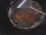ROLADE TAHU GORENG