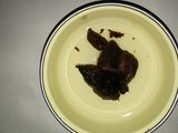 Pindang Pedas