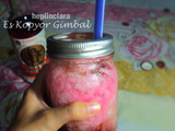 Es Kopyor Gimbal