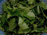 Tumis Daun Pucuk Labu Siam Udang 