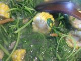 sayur kunci bayam (bening)