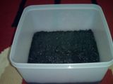 Frozen Oreo Cheesecake (No Baking)
