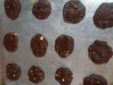 ChocoNut Melt Cookies