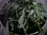 TUMIS KANGKUNG SAOS TIRAM