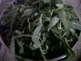 TUMIS KANGKUNG SAOS TIRAM