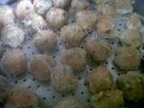 BASO LO HOA 