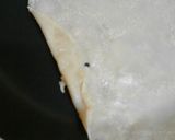 Foto langkah ke 7 dari resep Kulit Crepes Wonosari.