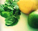 Foto langkah ke 1 dari resep lemon and lime infused water.