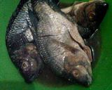 Foto langkah ke 4 dari resep ikan nila goreng.