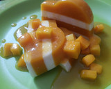 Foto langkah ke 7 dari resep Pudding Lapis Mangga Susu.